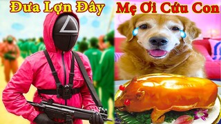 Thú Cưng TV | Gâu Đần và Bà Mẹ #29 | Chó Golden Gâu Đần thông minh vui nhộn | Pets cute smart dog