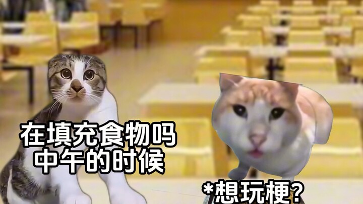 Which type are you when it comes to meme‑hopping? #CatMemeMiniTheater# Trending Meme# Way Too Real# 