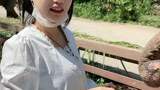 صديقتي طلبت مني أن أشتري فيلاً 😂