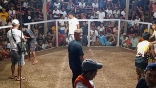 ipilan Brookes win prh- 2 wins 1 Loss