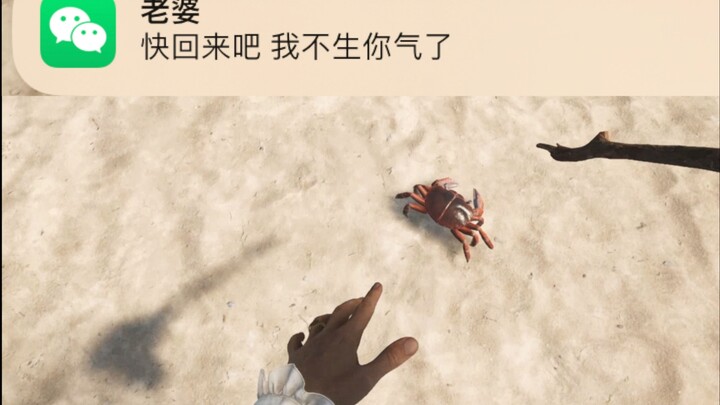 总不能跟媳妇说，我还挺乐在其中吧.....