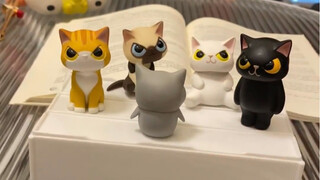 一群小猫咪已经够可爱了！ 谁知道是一整个动物园啊！！！