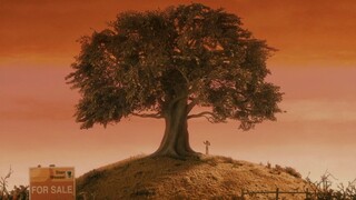 审美积累｜韦斯·安德森色彩美学电影《了不起的狐狸爸爸》橙色基调 美国金球奖最佳动画长片