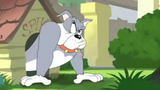 Watch Full  " tom and jerry the fast "   Movies For Free // Link In Description