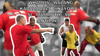 Whamos walang kadala dala dinayo pa si Mammoth sa Antipolo!