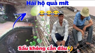 Nhờ các hái hộ quả mít - Top comment hài hước bá đạo vui nhất Face Book