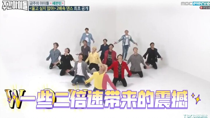 【seventeen】我 爱 复 习 二 倍 速！