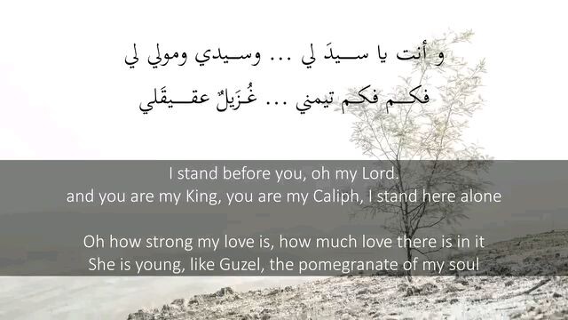 SAUTO SAFIRI BULBULI