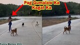 PINOY MEMES - Pag Gumalaw Ka Kagat Ka Best Funny Videos Compilation