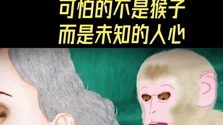 Điều đáng sợ không phải là loài khỉ, mà là lòng người đầy bí ẩn.