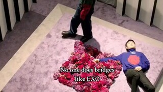 Exo's bridges is so perfect ❤️