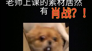 粉丝别点进来骂我