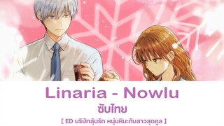 Linaria - Nowlu ซับไทย | ED.บริษัทลุ้นรัก หนุ่มหิมะกับสาวสุดคูล