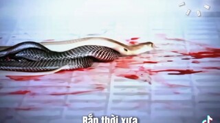 Rắn thời nay và thời xưa =))