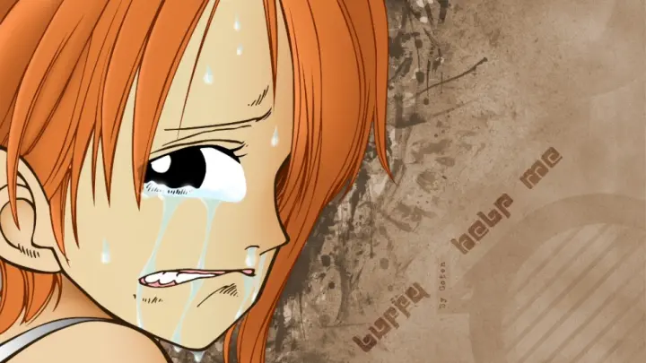 【One Piece/Nami】Don't bully my navigator!