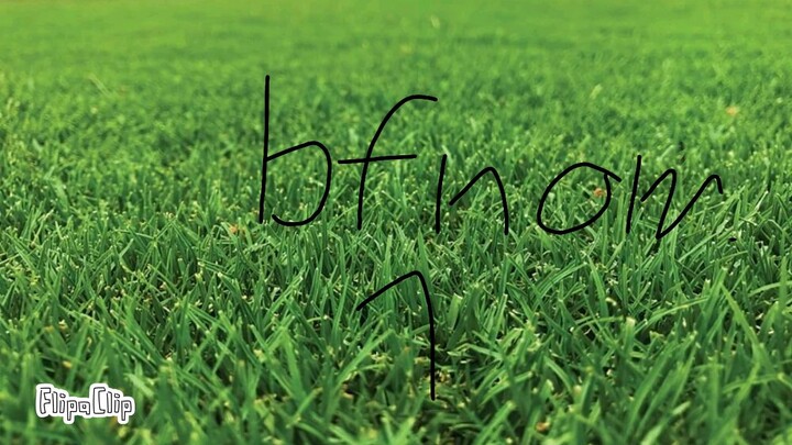Bfnom 1 - run
