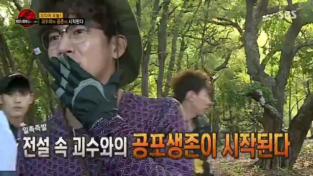 law of the jungle in komodo indonesia ep 275