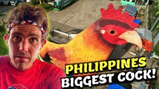 PHILIPPINES BIGGEST COCK - Motor Vlog Dipolog City From Zamboanga (Province Mindanao)