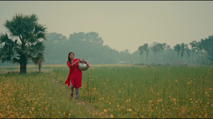 আমি রাখাল হইয়া তোমারে খুজি