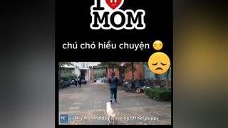 một lần này thôi, con về với chủ mới ngoan con nhé😔😔😔😔chócon chókhôn