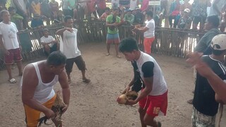 sultada pula vs talisay