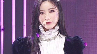 PURPLE KISS Debut Song Ponzona