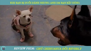 Review Phim ST I Khi Bạn Bị Sư Tử Đuổi Đánh Nhưng Anh Em Của Bạn Lại Rất Chi Là Đông