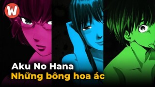 Bạn Có Thực Sự Hiểu Về Aku no Hana?