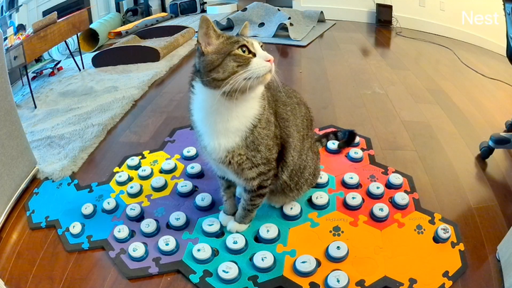 福福说了一句哪儿呢就急忙忙走了