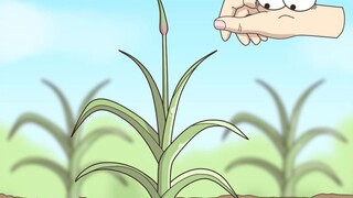 This tool makes garlic sprout harvesters experience the joy of "flying efficiency"