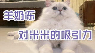 花少北：花生米！嫌弃我的嘴碰了羊奶冻就直说！