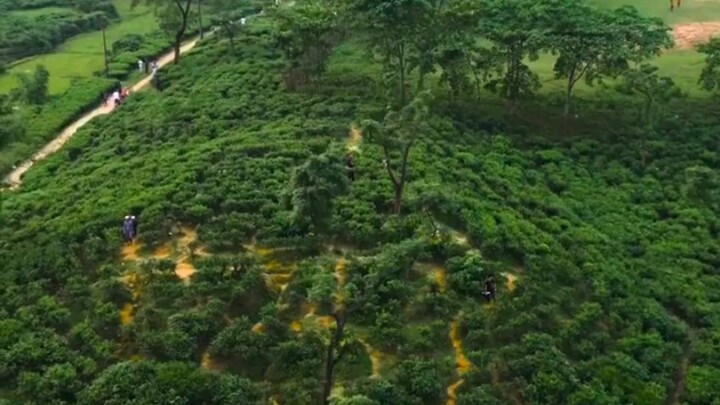 সিলেট আন্তর্জাতিক ক্রিকেট স্টেডিয়াম...