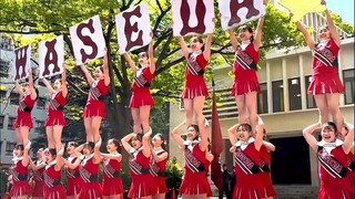 Waseda University, Japan | Cheerleaders' youthful welcome ceremony for freshmen