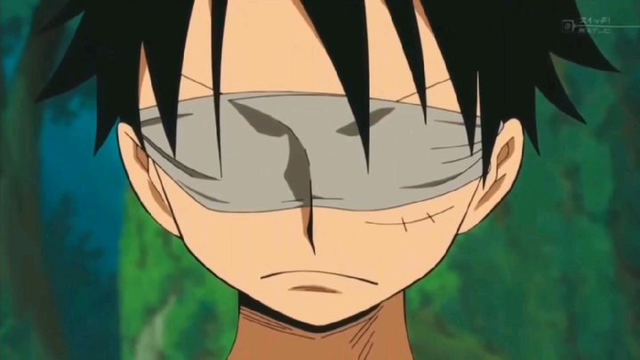 Luffy Learned Haki For The First Time