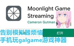 [Moonlight使用教程]直接在床上玩gal游戏