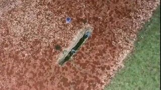 Gọi cảnh sát và khóc nếu đổ nước khoáng?