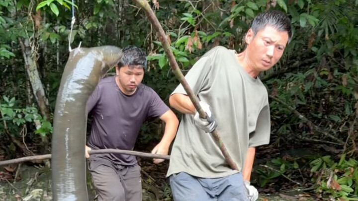 สำรวจป่าดงดิบแอมะซอน ลึกเข้าไปในป่าแอมะซอนเพื่อค้นหาคลังพันธุกรรมสัตว์และพืช