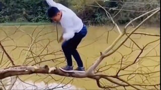 ตัดต้นไม