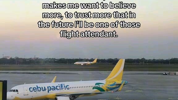 flight attendant!!!