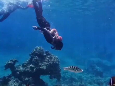 Thần tiên lặn biển 2 tuổi rưỡi