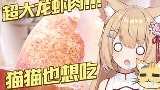 [Sepuluh menit untuk mengawasi kucing] Kucing juga ingin makan! Saya sangat rakus!