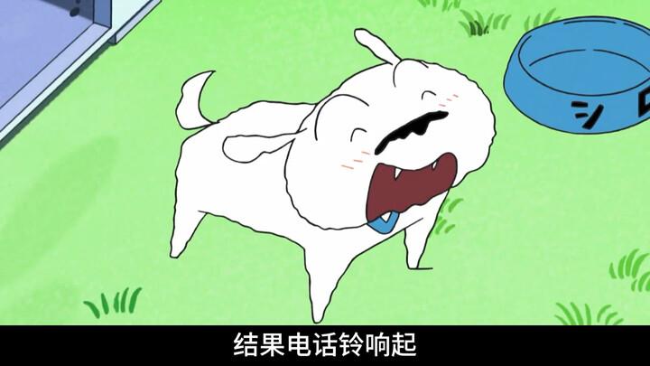 小白在美伢家吃不上饭很失望，隔壁大婶投喂感觉很幸福