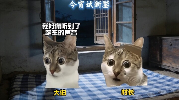 Saat kamu sudah sukses dan terkenal, bawa sang dewi pulang kampung untuk merayakan Tahun Baru!