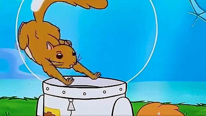 คุณรู้ไหมว่าฟองน้ำกินอย่างไร?