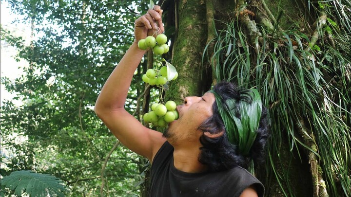 Survival Skills | Makan Buah Hutan "Prata Jalu" yang asam, renyah dan menyegarkan