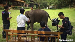 เบื้องหลังการถ่ายทำ 🎬🎥