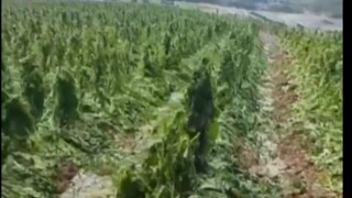 Tempestades Devastam o Sul do Brasil