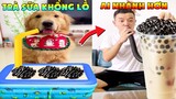 Thú Cưng Vlog | Tứ Mao Ham Ăn Đại Náo Bố #17 | Chó gâu đần thông minh vui nhộn | Smart dog funny pet