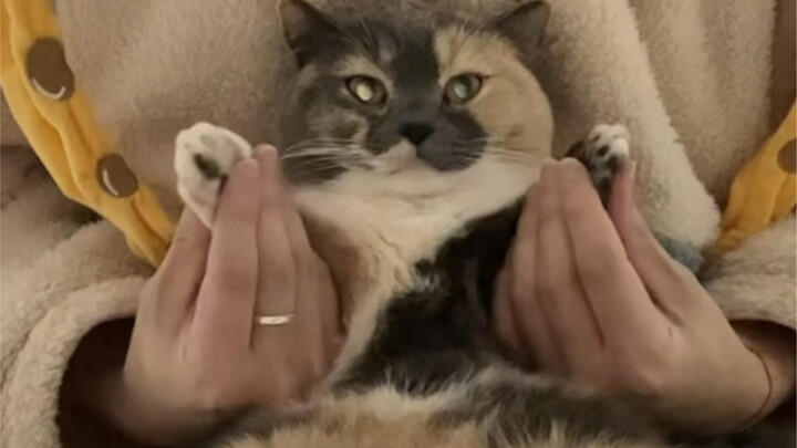 Jantungku berdetak seperti api yang berkobar