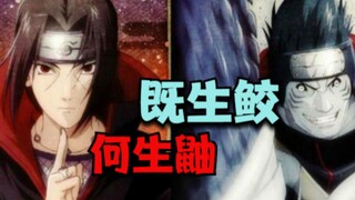 既生鲛，何生鼬